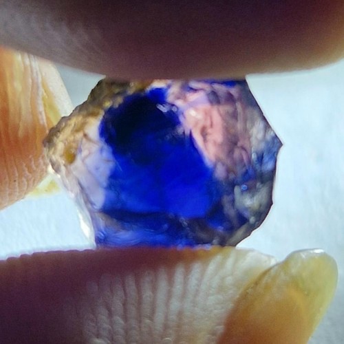 Bicolor saphir 8ct - bicolor,